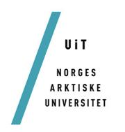 Akuttmedisinske utfordringer blant turnusleger på utrykning i Finnmark - Det gikk jo tross alt bra 5.