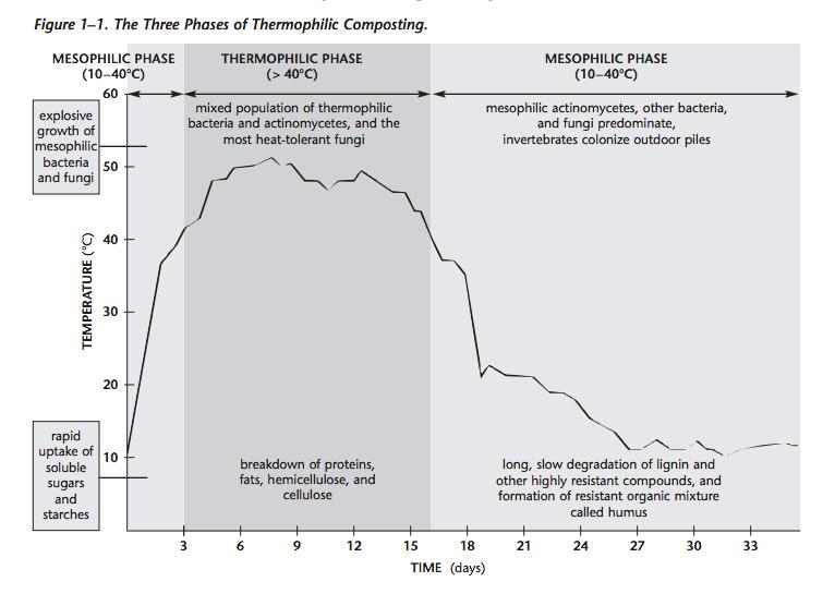 Fasene i industriell kompostering Det er herfra det blir høy biodiversitet i hele massen og god kompost