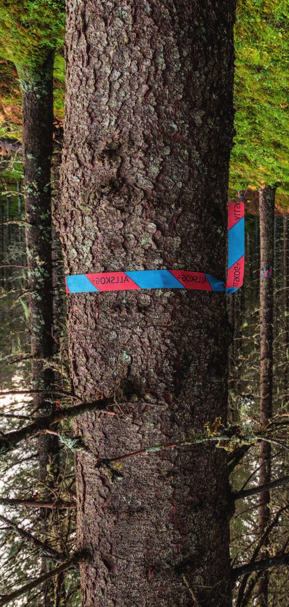 SKOGEN Skogen i Norge Norge har betydelige skogressurser og utmarksareal. Skog og annet trebevokst areal dekker 43 prosent av landarealet. I Norge er eierskapet til skog svært spredt.