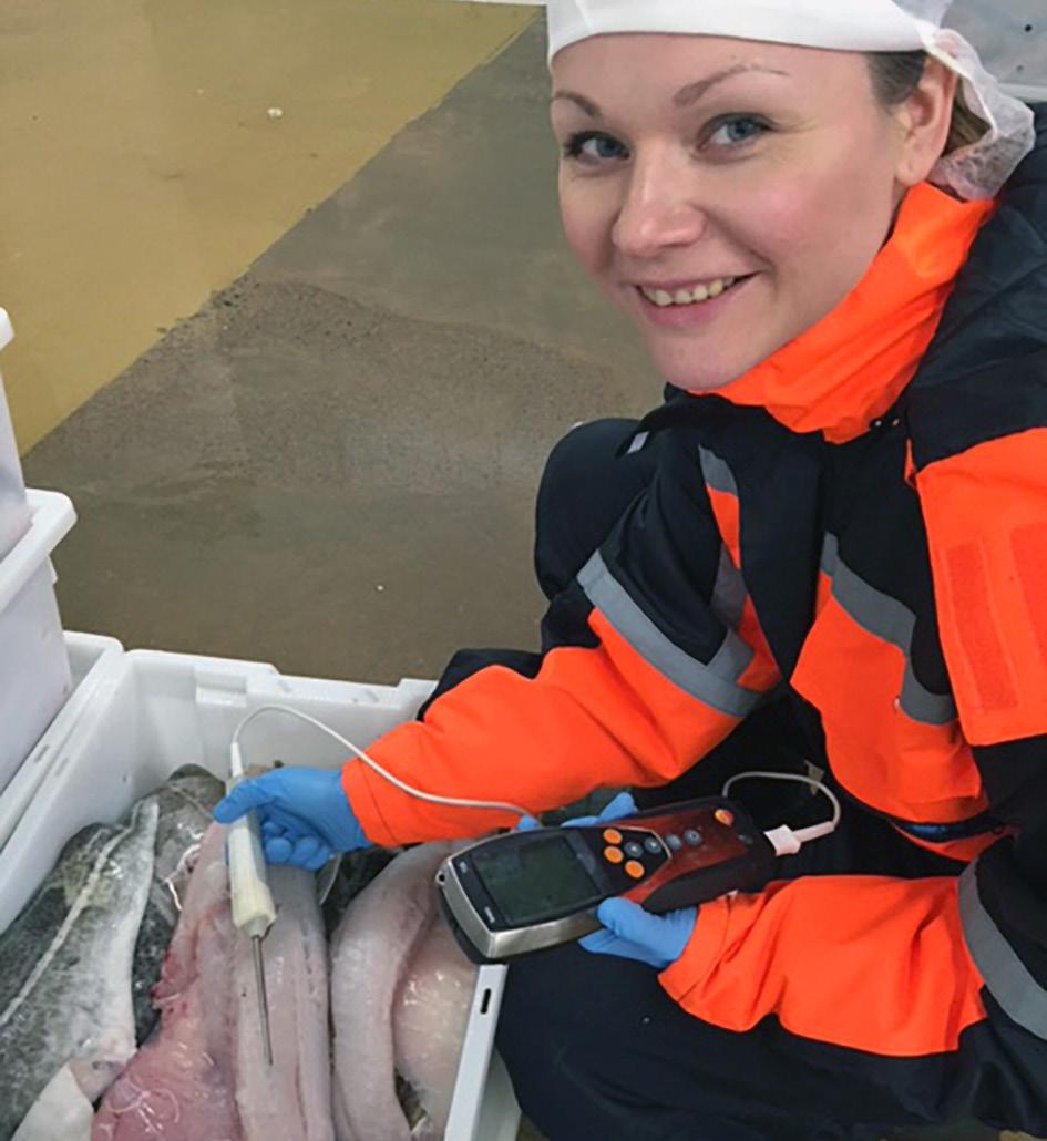 Fangstbehandling 1) 2) 3) Bør tilbys mat i «torskehotell» Torsk som ikke spiser mens den er levendelagret, får lavere proteininnhold, høyere vanninnhold og taper vekt i fiskekjøttet.