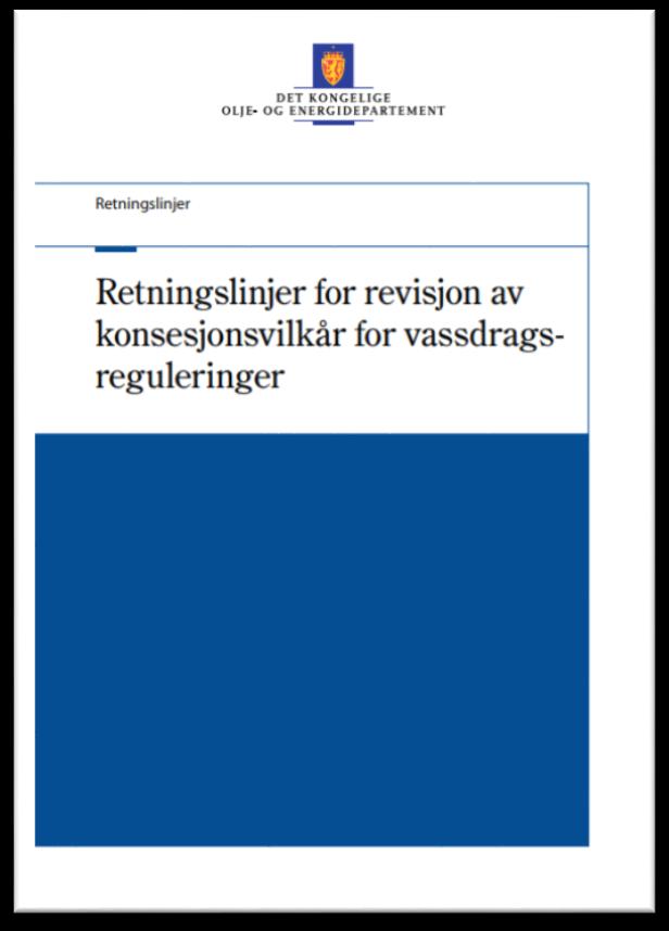 Bakgrunn Over 400 revisjonar kan opnast innan 2022 Hovudformålet er å betre