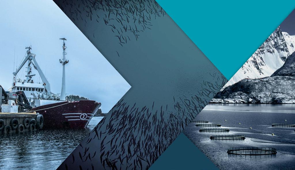 Austevoll Seafood ASA Finansiell rapport