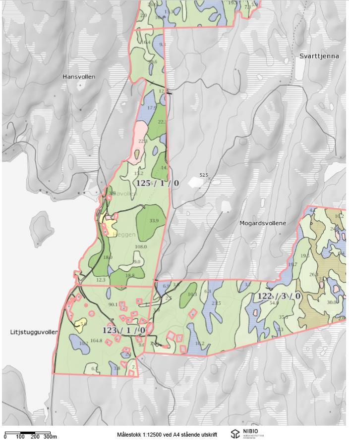 5.2 Skog og landskap, landbruk: Markslagskartet viser at området har