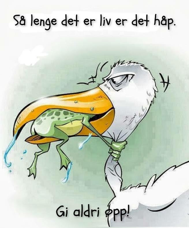 Det er alltid for tidlig å gi opp.