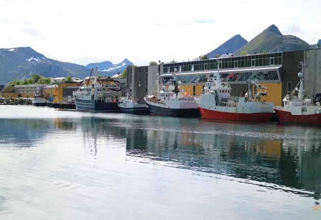 Fiskebåter ved kai hos Brødrene Karlsen AS, Husøy. Fotograf: Rita Karlsen, Brødrene Karlsen AS Mål: Midt-Troms/Senjaregionen skal bli Norges viktigste på sjømat Sjømatnæringen er i sterk vekst.