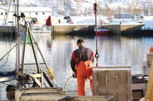 Innen havbruk og akvakultur har Senja tre settefiskanlegg, og et av disse er av verdens største og mest moderne. Det produseres smolt til laks, ørret og til rensefisk (rognkjeks).