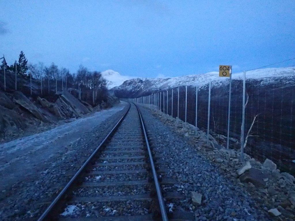 foretar prøvetaking. Dette betyr at alle påkjørte hjortedyr må varsles til Mattilsynet og det må legges til rette for prøvetaking.