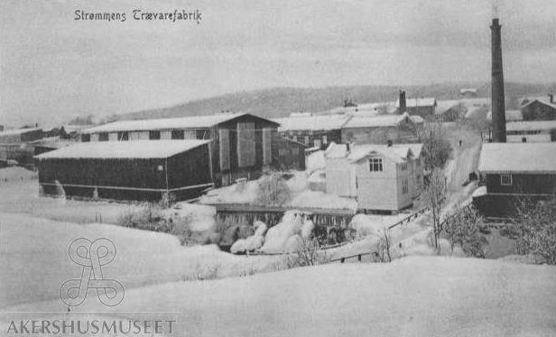 Innen kommunens grenser er det skog både i og utenfor Marka. Innenfor Marka, finner vi både Skjettenåsen, Gjelleråsmarka og søndre del av Romeriksåsene.