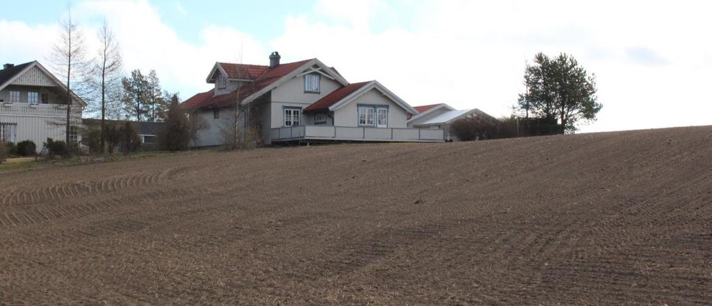 Foto 2: Kleberskåret ble funnet på toppen av det nysådde jordet, rett utenfor hjørnet på terrassen på det hvite huset. Bildet er tatt mot øst-nordøst.