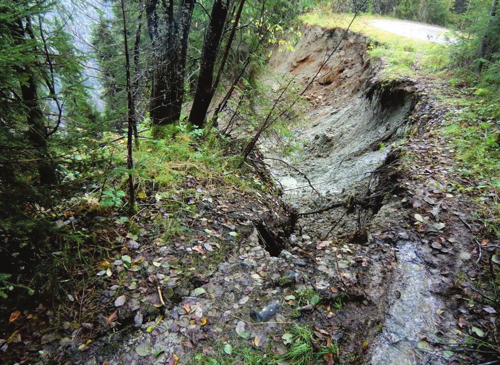 Foto 1: Oversiktsbilde med skredet