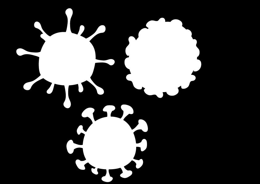 Influensa Influensa A Influensa B er mer enn ett virus A/H3N2 A/H1N1 B/ Yamagata B/ Victoria Flere influensavirus kan sirkulere samtidig Du kan bli syk flere ganger samme vinter