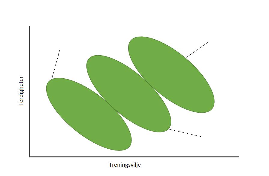 Årganger i ungdomsfotballen Utfordring og mestring på trening Trene med resten av årgangen Tilpasset