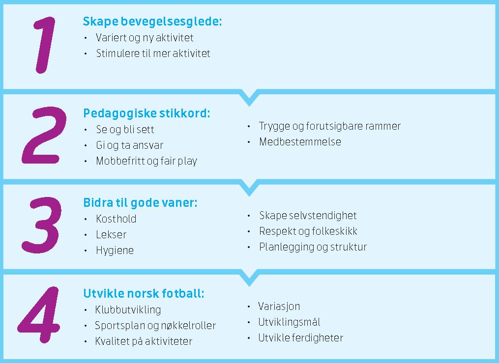 FFO Telenor Xtra Dalen IL driver Fotballfritidsordningen Telenor Xtra etter en samarbeidsavtale med NFF etablert 2014.