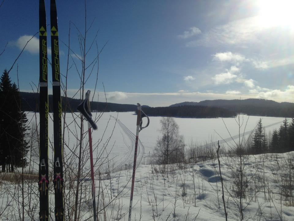 Vi er ikke fornøyd med at det bare er 2-300 som melder seg på UiOs aktivitetsdager. UiOBIL får fortsatt ikke lov til å sende ut e-post til alle ansatte.