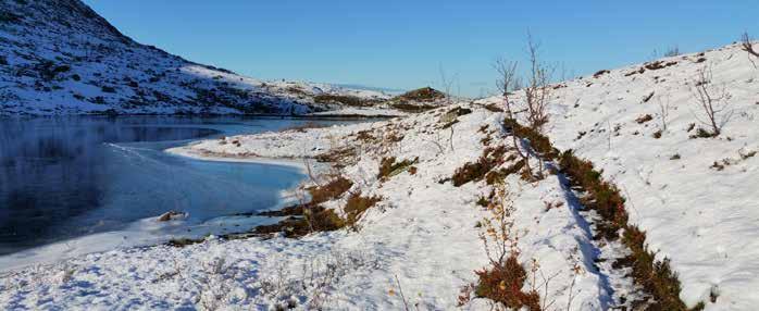 Fagnytt i nord Kontaktpersoner (USHT) Troms Toril Bülow Leder USHT Troms Toril.bulow@tromso.kommune.no Tlf 48034599 Kine Nordmo-Stykket Prosjektleder USHT Troms Kine.nordmo.stykket@tromso.kommune.no Tlf 90524507 Foto: T.