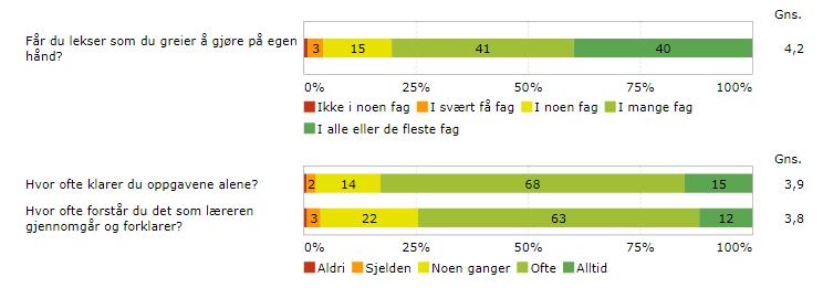 Mestring Opplevelsen av mestring er viktig for motivasjonen og selvtilliten i læringsarbeidet.