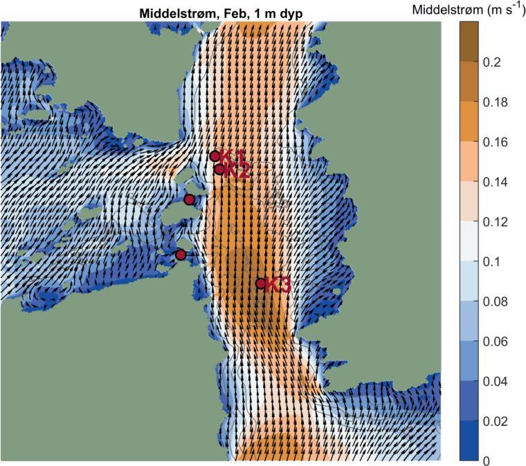 Figur 7. Simulert middelstrøm i februar 2015 i overflaten (venstre) og på 50 m dyp (til høyre).