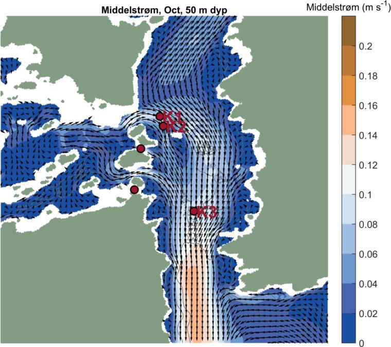 Simulert middelstrøm i oktober 2015 i overflaten (venstre) og på 50 m dyp (til høyre).   Spesielt viser sirklene merket K1 til K3 posisjonene til korallforekomstene. 10 av 36