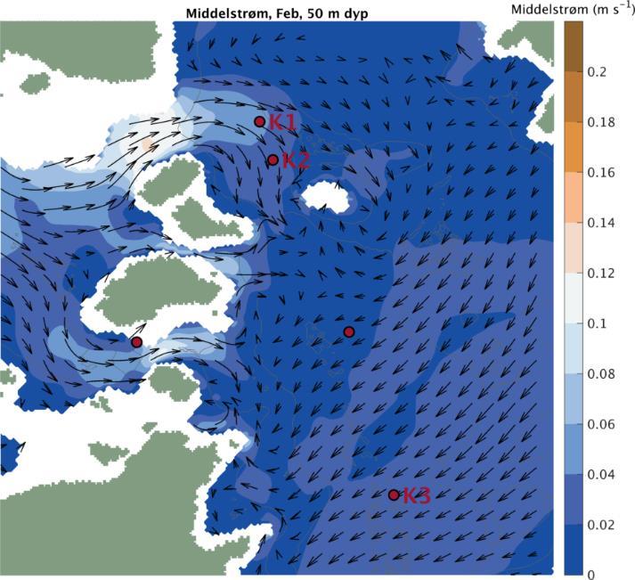 Figur 11. Simulert middelstrøm ved 50 m dyp i Julsundet i februar 2015.