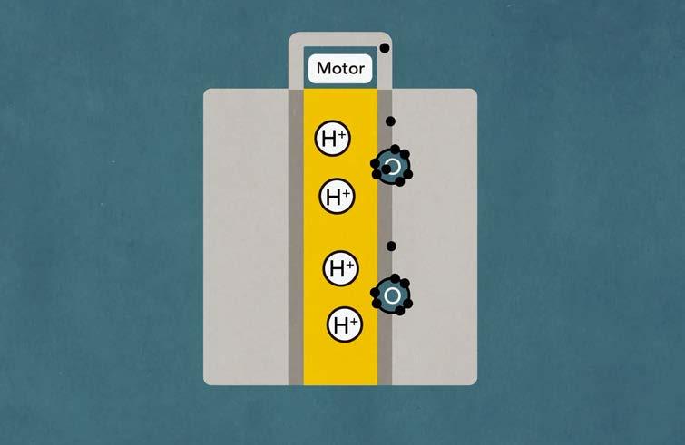 Prinsipp brenselceller fra hydrogen til strøm Lydløse Modulære Rask respons H 2 H 2