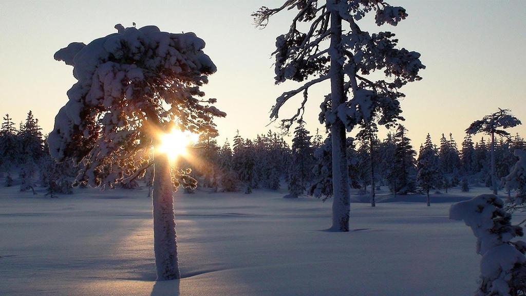 NORDLANDSRUTA Oslo 28.02.