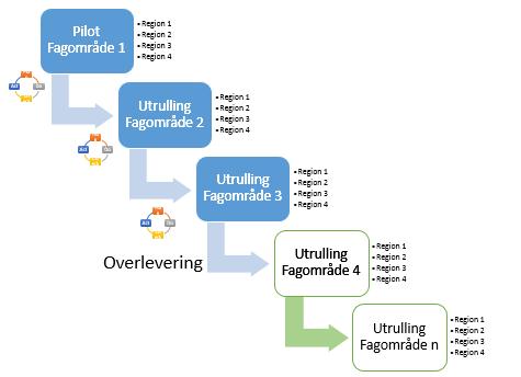 Realiseringsstrategi Patologifaget består av 15 fagområder/organområder.