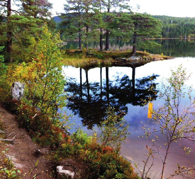 4 GRANÅSEN-RØNNINGEN 16. 17. juni Her starter vi fra parkeringsplassen i Granåsen. Vi går opp mot hoppbakkene og tar av til høyre. Følger vegen frem til stien opp gjennom Strupen retning Leirsjøen.