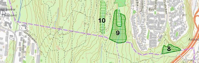 I Oslo kommune, inntil grensa av varslet planområdet ligger tre registrerte naturtyper som også kan nevnes. Dette er (se Figur 4): 8. Brunsås, rik sump og kildeskog, BN00064021, verdi B 9.