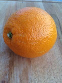 Skumsnes Appelsin