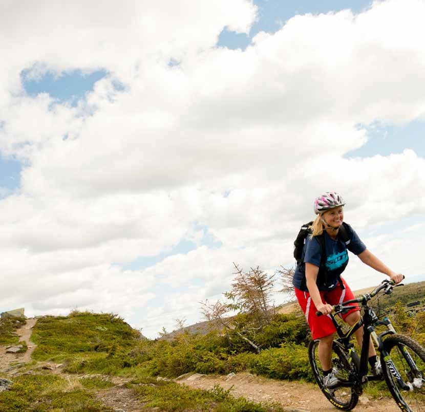 Terrengsykling for en hver smaksmak Hafjell har et allsidig tilbud av sykling, enten gjennom Hafjell Bike Park eller på de utallige fjellveiene og stiene innover Øyerfjellet.