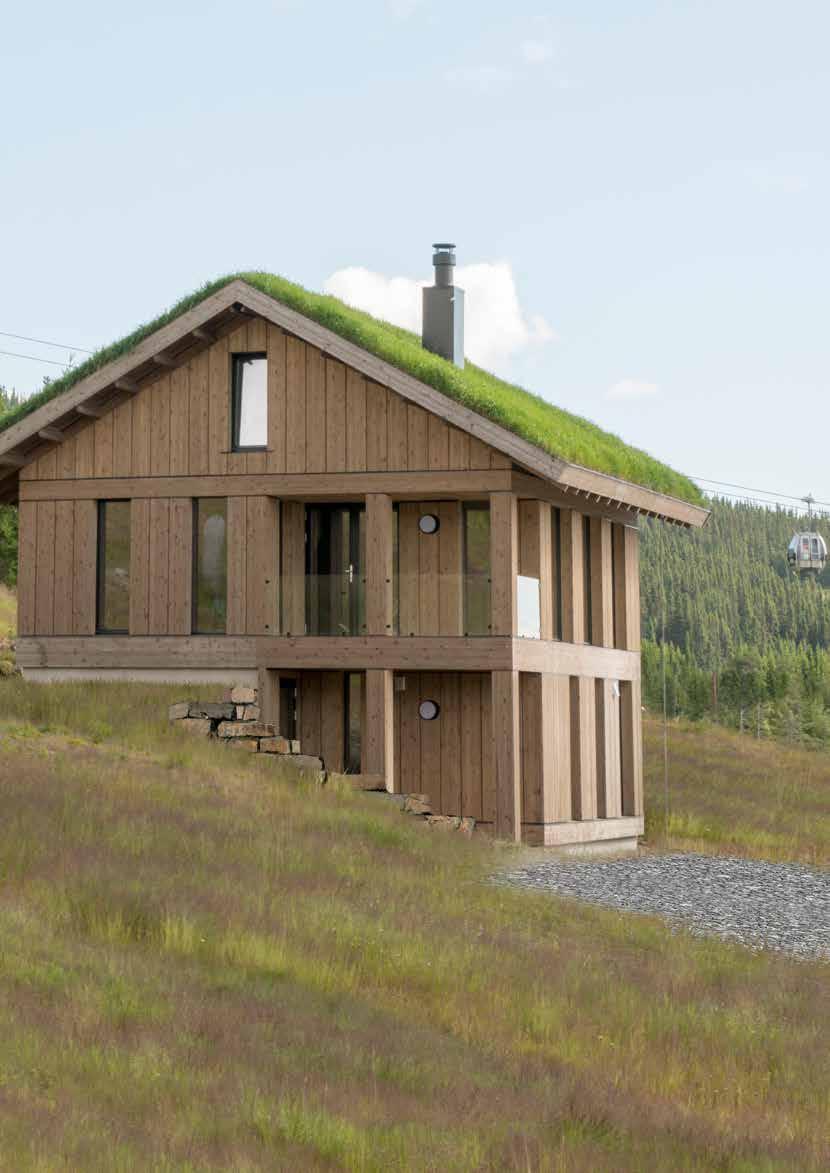 Leve Hytter Vinner av prisen for «Årets hytteprosjekt» i 2017 Den meget populære Vy-serien, med arkitekttegnede hytter fra Leve Hytter AS, er tegnet av Jarmund/Vigsnes Arkitekter og inspirert av den