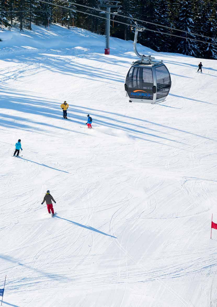 Alpint for den kresne Med The Nest som utgangspunkt kan du bokstavelig talt ta på deg skiene på trappa og boltre deg i Hafjell Alpinsenter sine 44 km med alpinbakker.