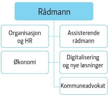 Driftsbudsjettet 61 Sentrale stabs- og støttefunksjoner SENTRALE STABS- OG STØTTEFUNKSJONER (SSS) ORGANISASJON Sentrale stabs- og støttefunksjoner består av følgende seksjoner med angitt