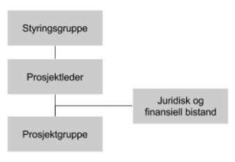 I forbindelse med inngåelse av intensjonsavtalen, velger kommunene sine representanter til styringsgruppen for prosjektets fase 1 (se figuren over) med etableringen av avtaleverket, utarbeide