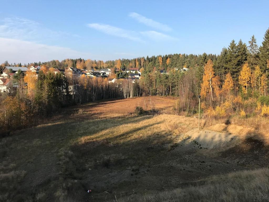 23. Jessheim, dam ved skibakke Vasspest: fraværende* Tilknytning i vassdraget: liten dam, uten kontakt med vassdaget, men med et svakt sig ned til Kværndalsbekken. Habitatets egnethet: ikke egnet.