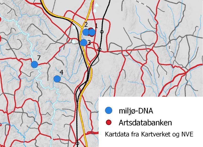 Konsentrasjon av vasspest- DNA i filtrerte vannprøver fra 10 lokaliteter. Tre paralleller fra hver vannprøvene ble analysert (første y-aksen er log skala).