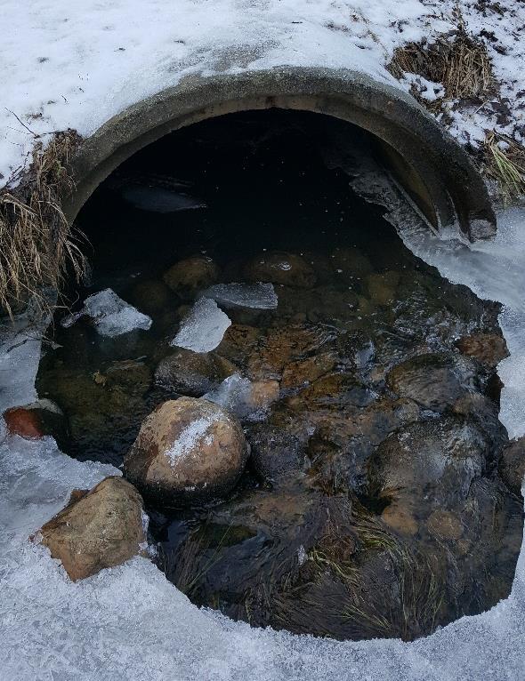 Måsabekken nedstr. Renseparken (MÅS3) Foto: Leif Simonsen Fakta om vannforekomst og vannlokaliteter Vannlokalitet navn (akronym) og kode: Måsabekken nedstr.