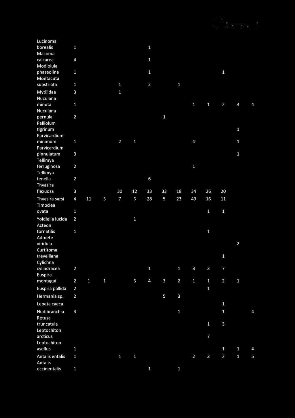 Lucinoma borealis 1 1 Macoma calcarea 4 1 Modiolula phaseolina 1 1 1 Montacuta substriata 1 1 2 1 Mytilidae 3 1 Nuculana minuta 1 1 1 2 4 4 Nuculana pernula 2 1 Palliolum tigrinum 1 Parvicardium