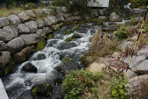 68 OVERVÅKNING AV INNSJØER OG ELVER I RYFYLKE OG HAUGALANDET VANNOMRÅDER 2017 bekken er steinsatt i bekkekanten ved brua. Kantvegetasjon av svartor, bjørk, platanlønn og gyvel.