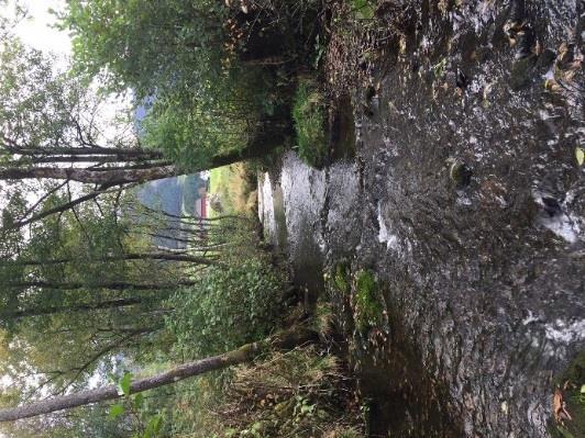 80 OVERVÅKNING AV INNSJØER OG ELVER I RYFYLKE OG HAUGALANDET VANNOMRÅDER 2017 Bekken er senket og steinsatt, bredde 2 meter, dybde 10-50 cm. Lite lyseksponert. Substrat stein og grus på leiresåle.