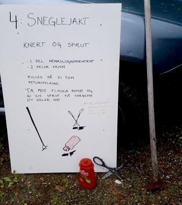 Plakater på suppleringsaksjonen 15.6.16.