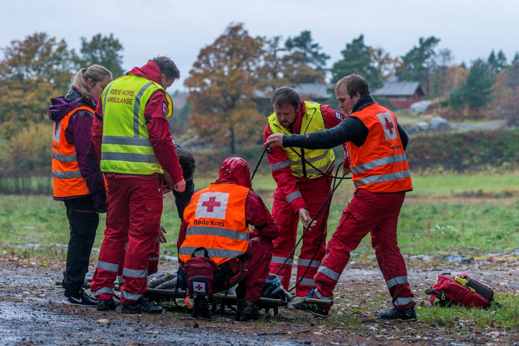 Samspill mellom de profesjonelle akuttmedisinske helsetjenestene og de frivillige organisasjonene: Viktige ressurser eller brysomme