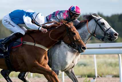 Blir august Widos måned? Appelina og Icecapada har hatt flere jevne kamper. Foto: Svensk Galopp Vi er på vei inn i Derby-måneden august.