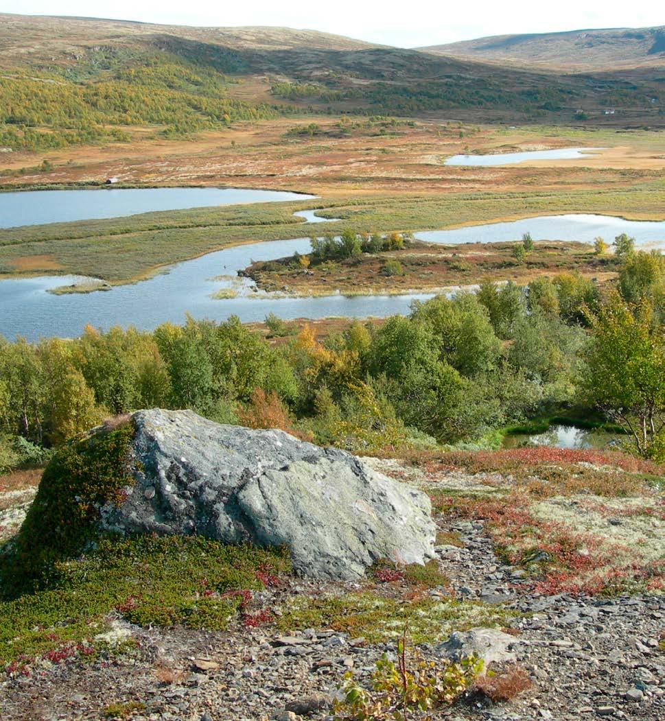 Foto: Yngve Rekdal. Motiv: artsrikt fjellandskap, Dalbusjøen i Forollhogna nasjonalpark (Os) Velkommen inn!