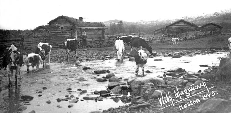 Fotograf gammelt foto: Wilhelm Magnussen, nytt foto: Oskar Puschmann.