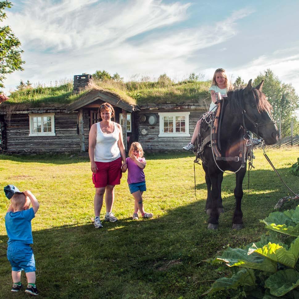 Foto: Ingrid Eide, Ingrafo Formidling av kunnskap og opplevelser Barn og unge er en viktig gruppe for formidling av kunnskap og opplevelser i Forollhogna.