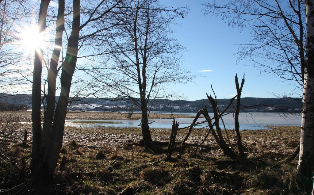 VERNEOMRÅDER Rælingen kommune har areal innenfor tre naturreservater; Nordre Øyeren og Sørumneset naturreservat, Østmarka naturreservat og Ramstadslottet naturreservat.