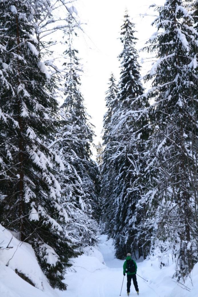 Skiløyper Det finnes totalt 51,5 km skiløyper i Rælingen kommune og vinteren 2017/2018 har Rælingen kommune kjørt opp 219,5 km fra november til starten av februar.
