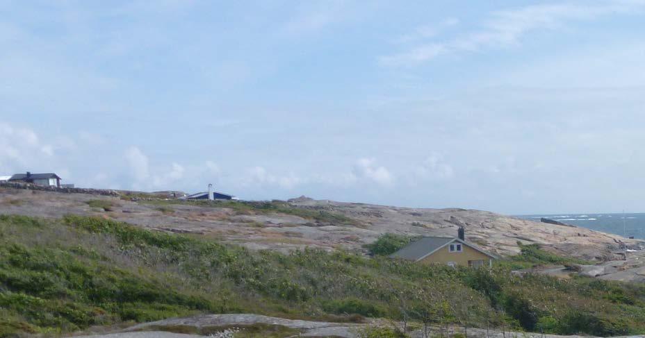 Utbyggingsmønster Blågrønn struktur Klimatilpasning