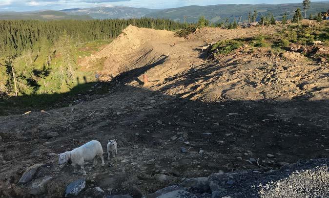 Utbygging gir også utfordringer Press på viktige natur- og